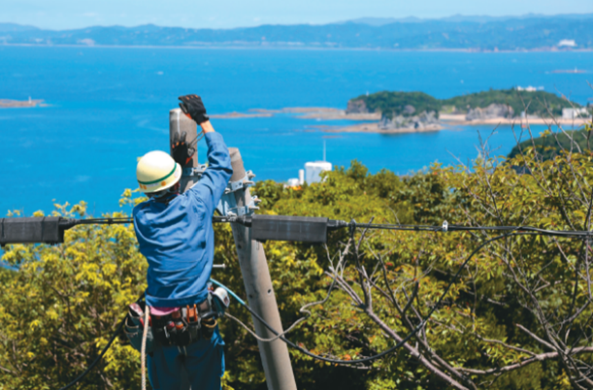 和歌山電工株式会社