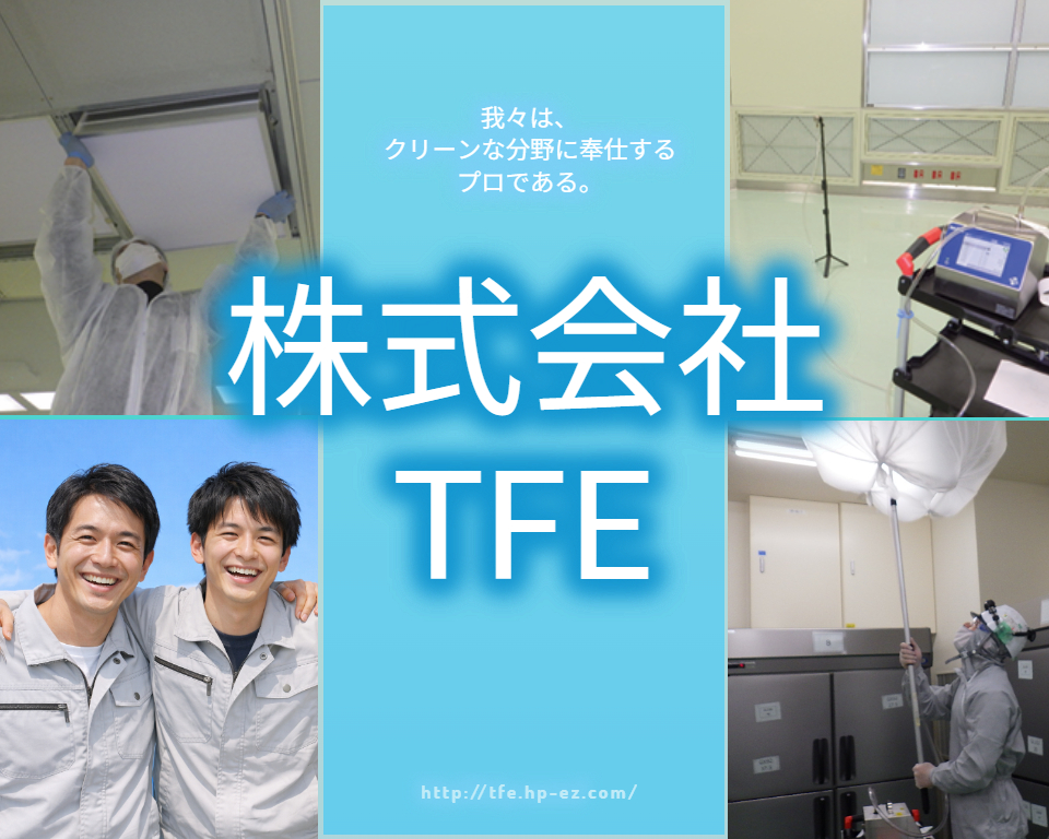 株式会社TFE