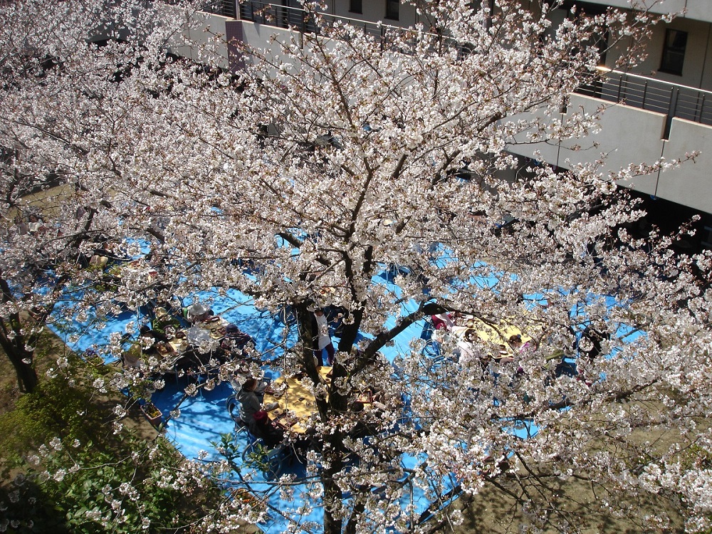 社会福祉法人河西福祉会